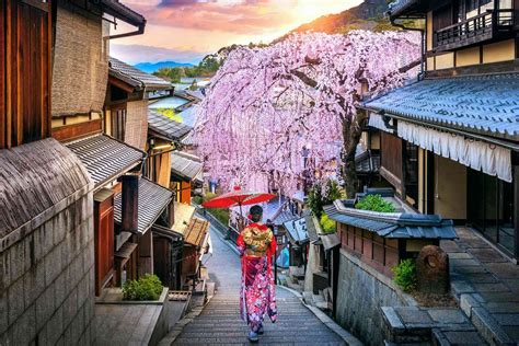 チンセヨン 日本 - なぜ彼女は日本の文化にこれほど魅了されたのか？